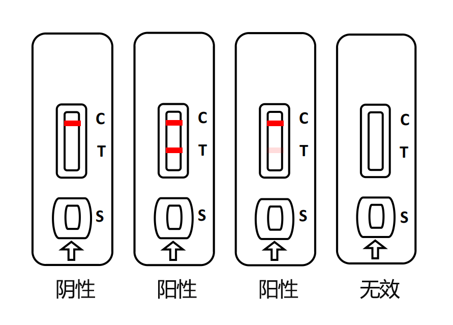 马流产沙门氏菌病抗体快速检测卡