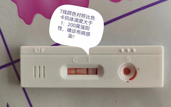 1671763461251690.jpg 未标题-1.jpg