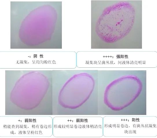 微信图片_20230103092605.jpg