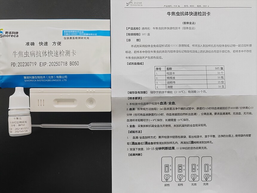 牛得了焦虫病有什么症状,如何快速诊断?