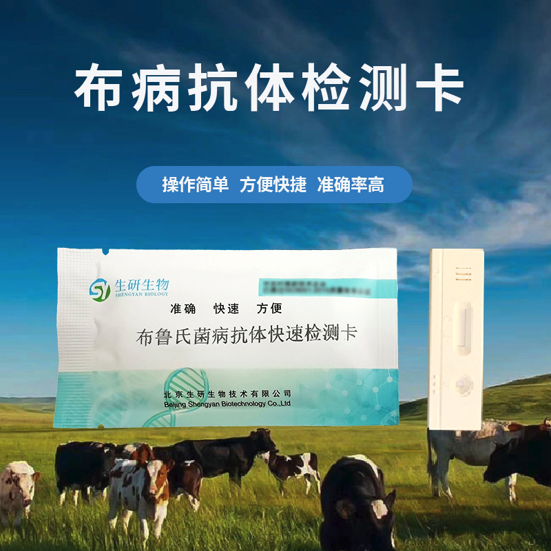 生研m1.jpg 牛场怎么预防布病?如何快速检测布病?
