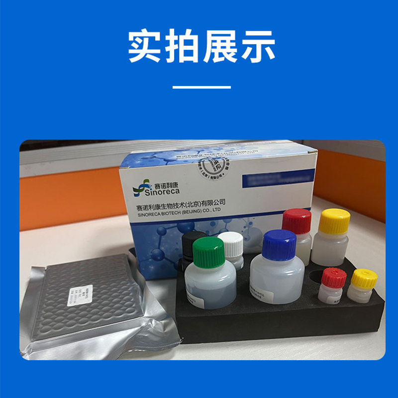 小反刍兽疫病毒酶联抗体检测试剂盒使用方法及注意事项