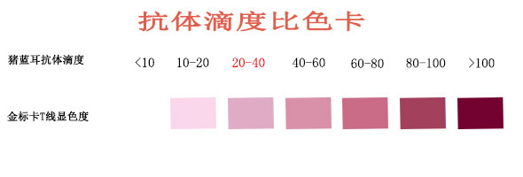 1647245812157784.jpg 蓝耳病.jpg