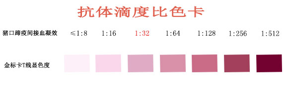 口蹄疫.jpg 口蹄疫.jpg