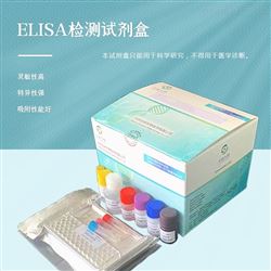 人白细胞介素32γ（IL-32γ）elisa试剂盒