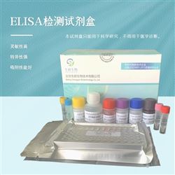 人白细胞介素32R（IL-32R）elisa试剂盒