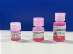 布病抗体检测试剂盒（虎红平板凝集法）