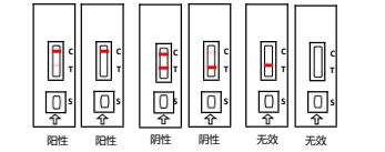 牛早孕.jpg